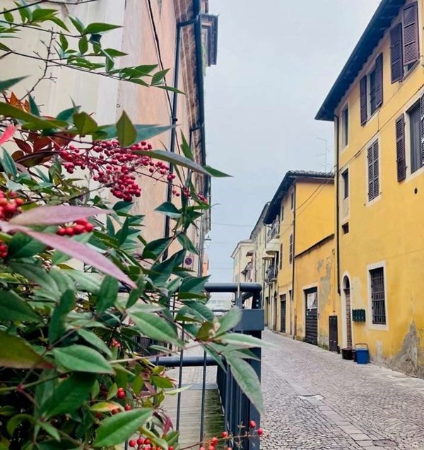 appartamento in vendita a Busseto