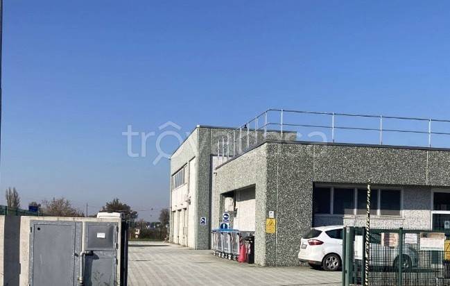 locale commerciale in vendita a Busseto