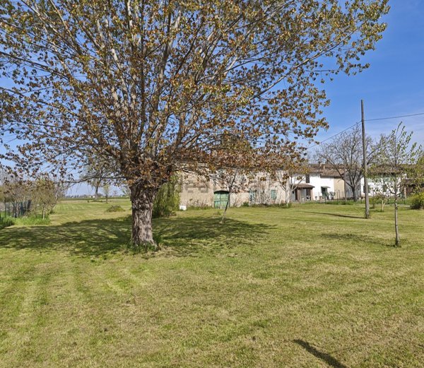 casa indipendente in vendita a Busseto in zona Frescarolo