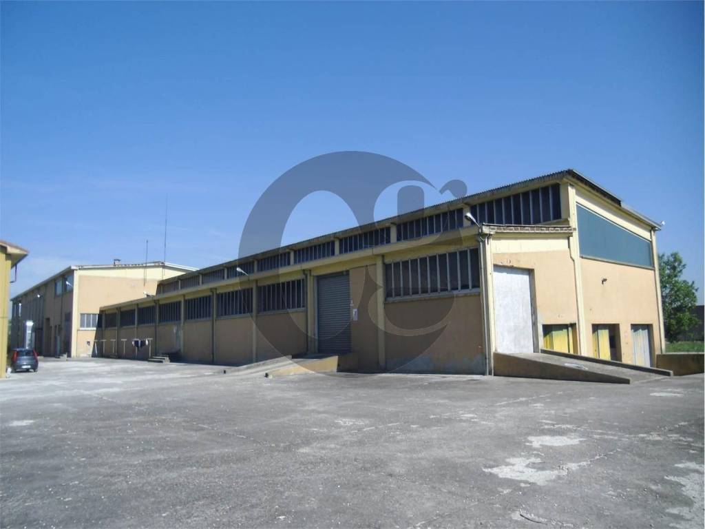 locale commerciale in vendita a Busseto