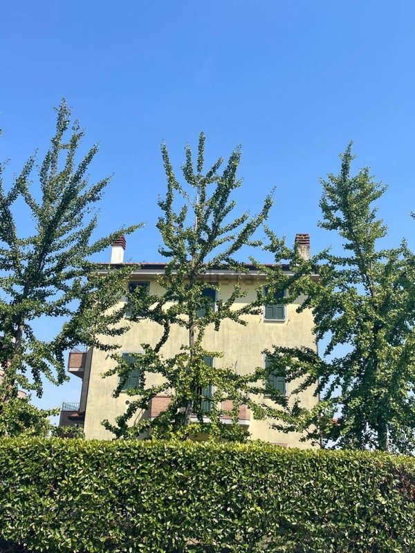 casa indipendente in vendita a Busseto