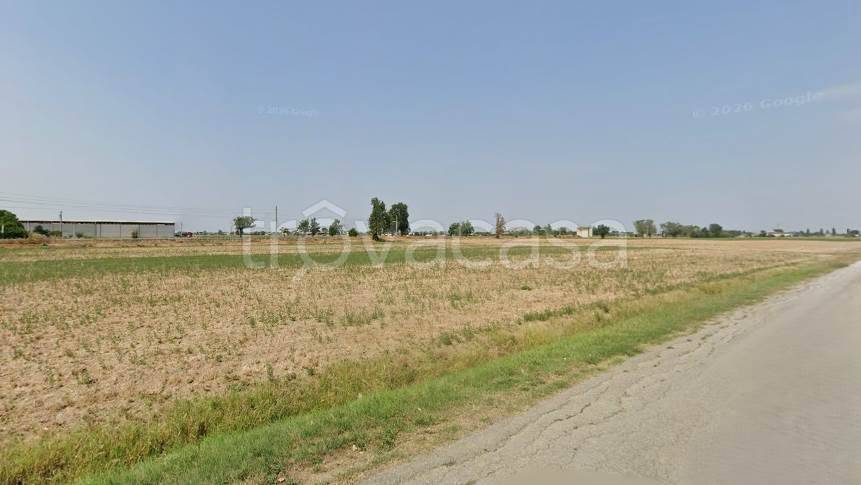 terreno agricolo in vendita a Busseto in zona Semoriva