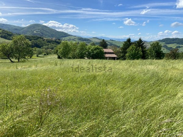 casa indipendente in vendita a Calestano in zona Marzolara