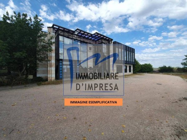 negozio in vendita a Collecchio