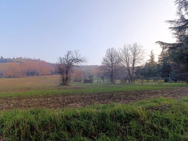terreno agricolo in vendita a Collecchio