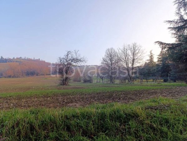 terreno agricolo in vendita a Collecchio