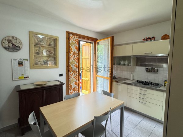 esavano in vendita a Collecchio