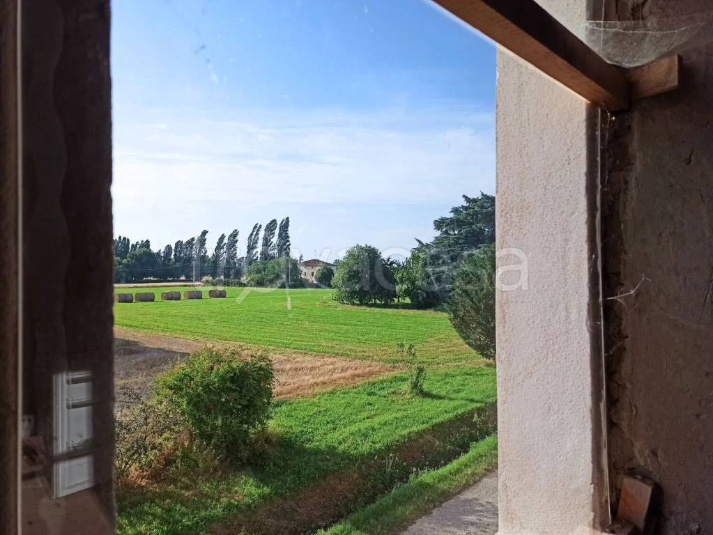 casa indipendente in vendita a Collecchio in zona Lemignano