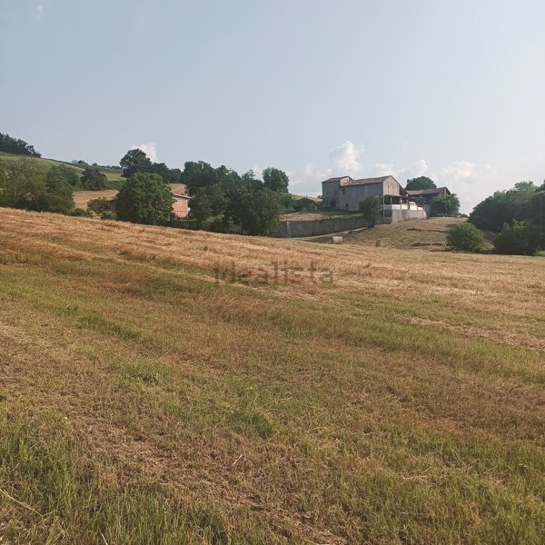 capannone in vendita a Collecchio in zona Gaiano