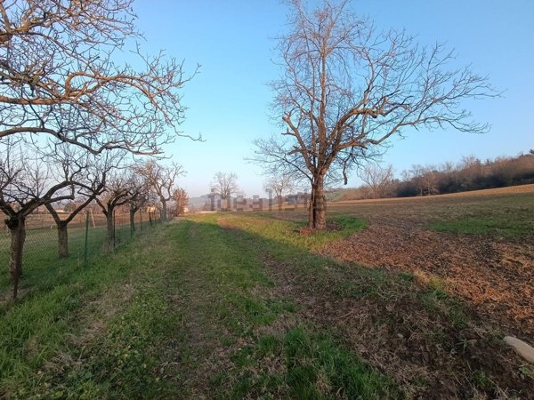 terreno agricolo in vendita a Collecchio