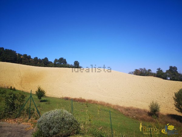 terreno agricolo in vendita a Collecchio