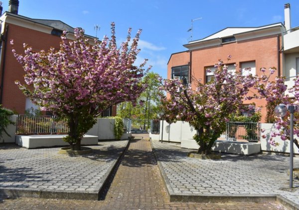 appartamento in vendita a Collecchio