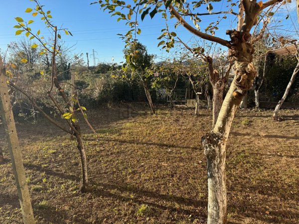 casa indipendente in vendita a Collecchio in zona Ozzano Taro
