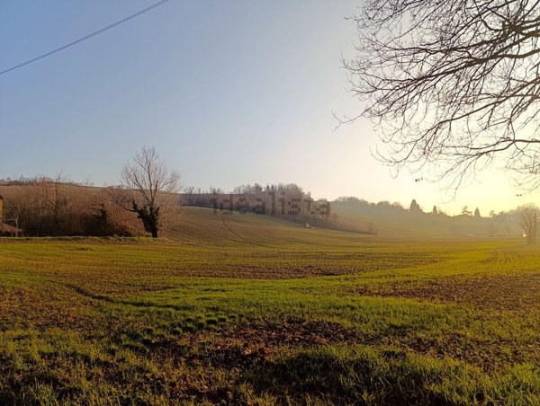 terreno agricolo in vendita a Collecchio in zona Ozzano Taro