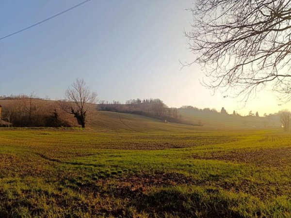 terreno agricolo in vendita a Collecchio in zona Ozzano Taro