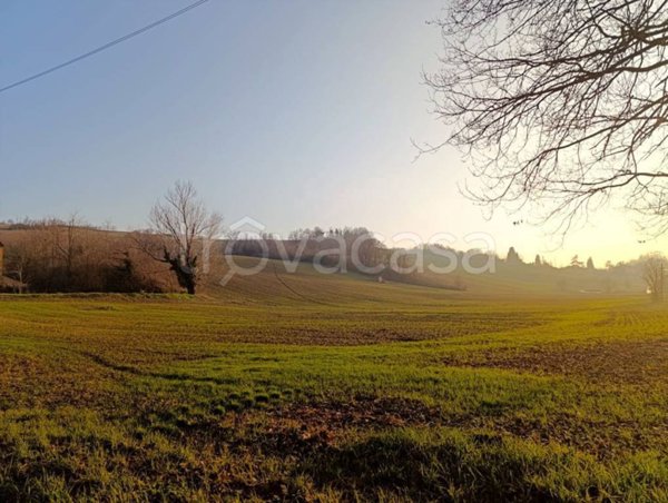 terreno agricolo in vendita a Collecchio in zona Ozzano Taro