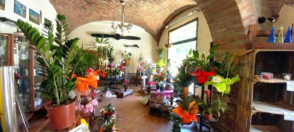 appartamento in vendita a Colorno in zona Vedole