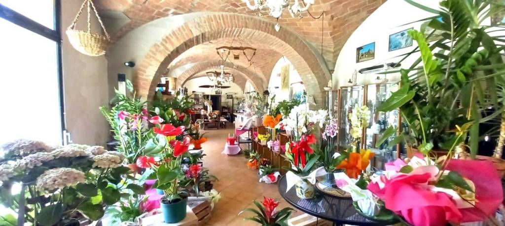appartamento in vendita a Colorno in zona Vedole
