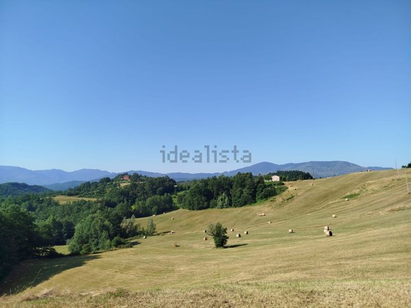 casa indipendente in vendita a Compiano in zona Isola di Compiano