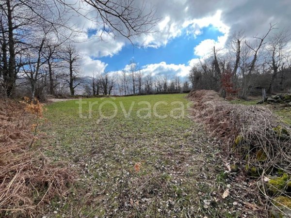 terreno agricolo in vendita a Corniglio in zona Bosco