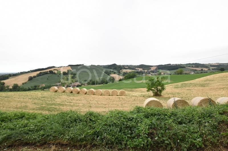 casa indipendente in vendita a Felino