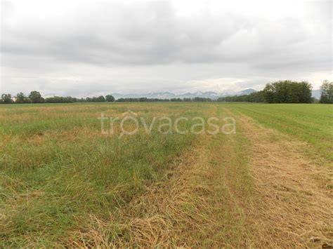 negozio in vendita a Felino