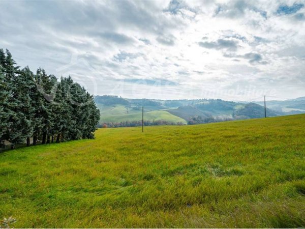 terreno agricolo in vendita a Felino