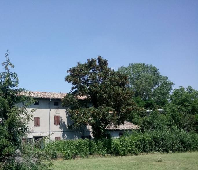 casa semindipendente in vendita a Felino