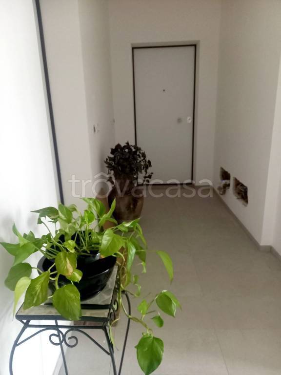 appartamento in vendita a Felino