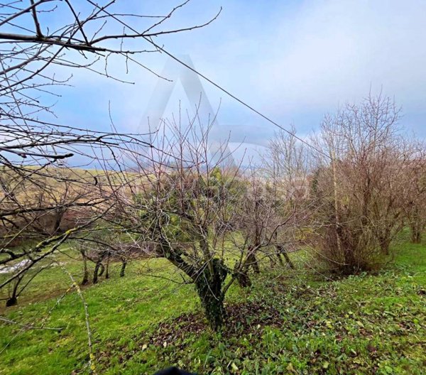 terreno edificabile in vendita a Felino