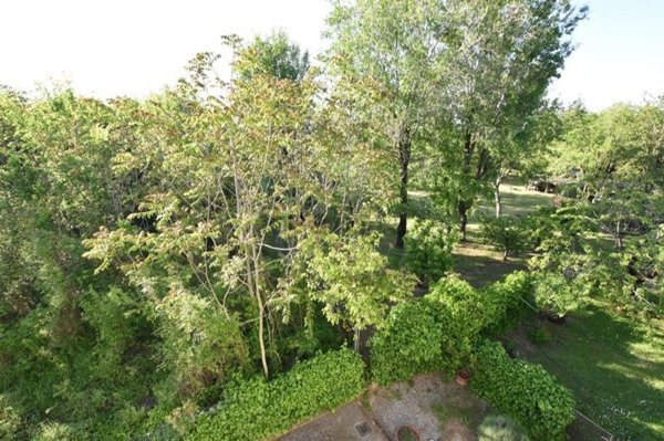 casa indipendente in vendita a Felino