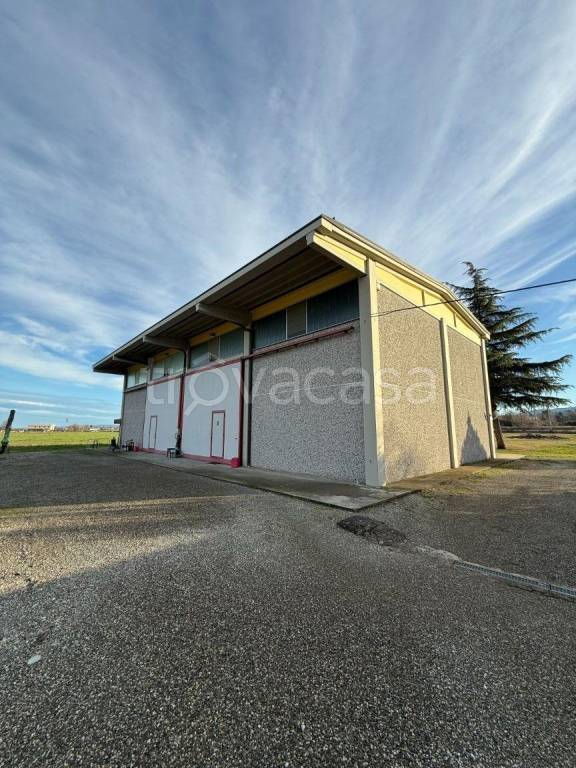 locale commerciale in vendita a Felino