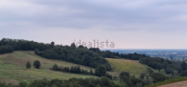 terreno agricolo in vendita a Felino