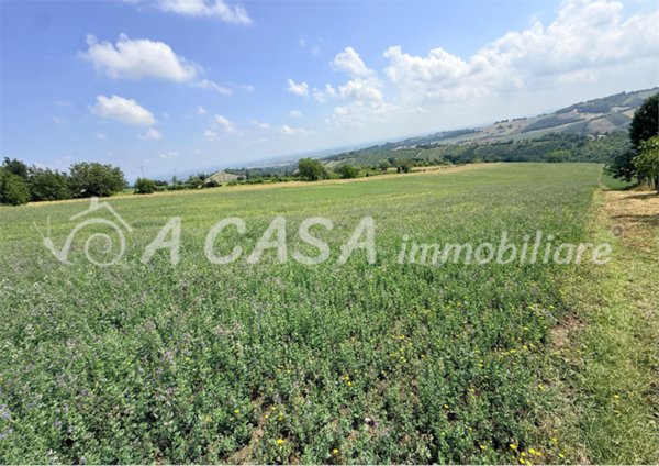 casa indipendente in vendita a Felino