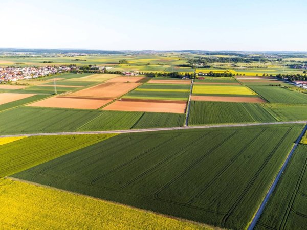 terreno agricolo in vendita a Felino