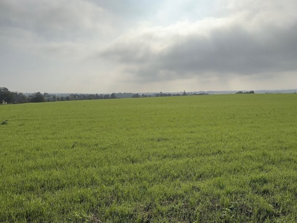 terreno agricolo in vendita a Fidenza in zona Fornio