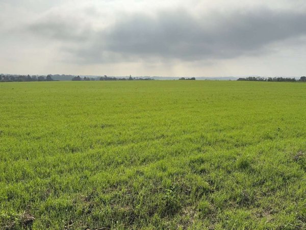 terreno agricolo in vendita a Fidenza in zona Fornio