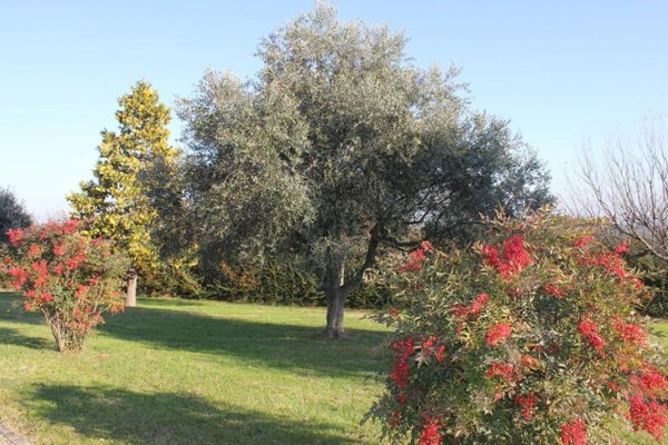 casa indipendente in vendita a Fidenza