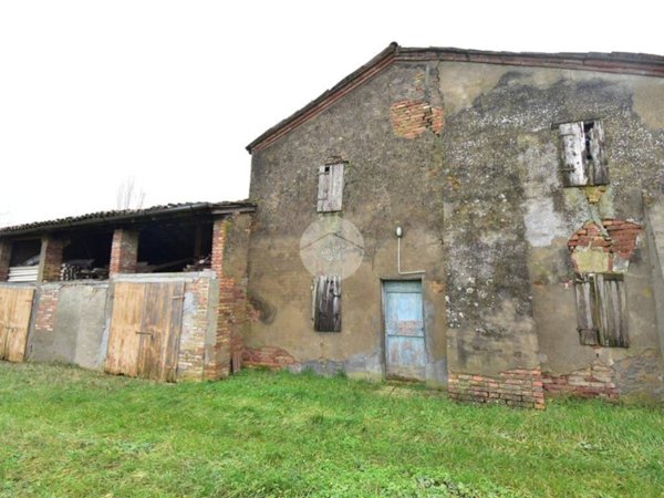 esavano in vendita a Fidenza