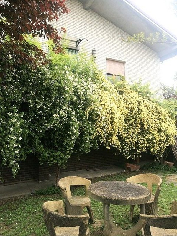 casa indipendente in vendita a Fidenza