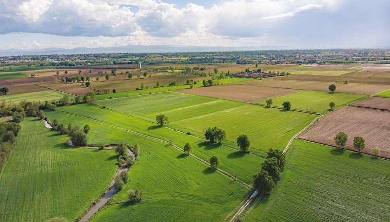 terreno agricolo in vendita a Fidenza in zona Parola