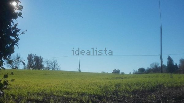 casa indipendente in vendita a Fidenza