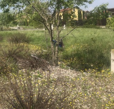 terreno edificabile in vendita a Fidenza in zona Fornio