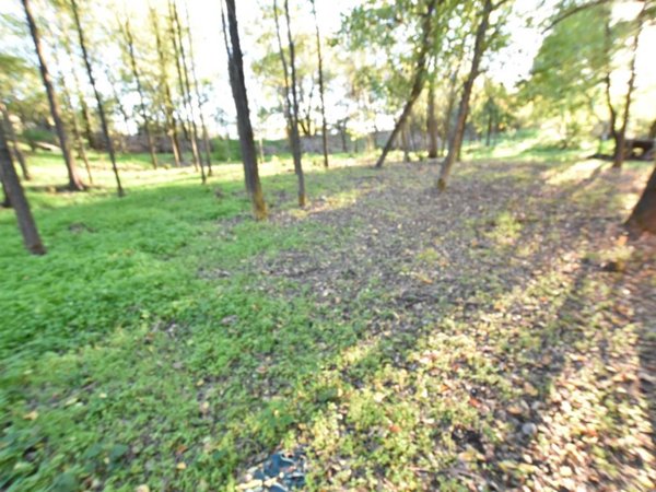terreno agricolo in vendita a Fidenza