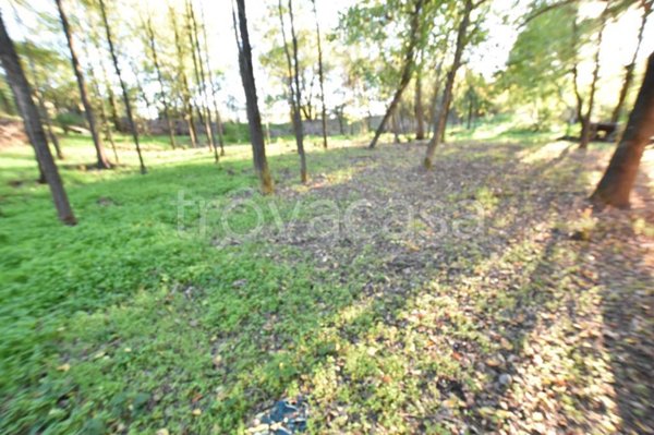 terreno agricolo in vendita a Fidenza