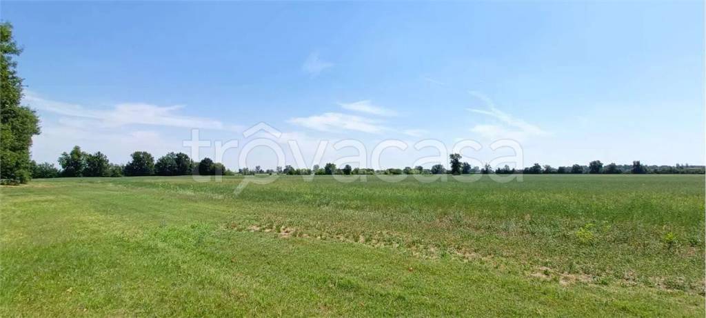 terreno agricolo in vendita a Fidenza