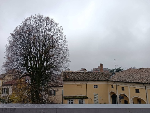 appartamento in vendita a Fidenza