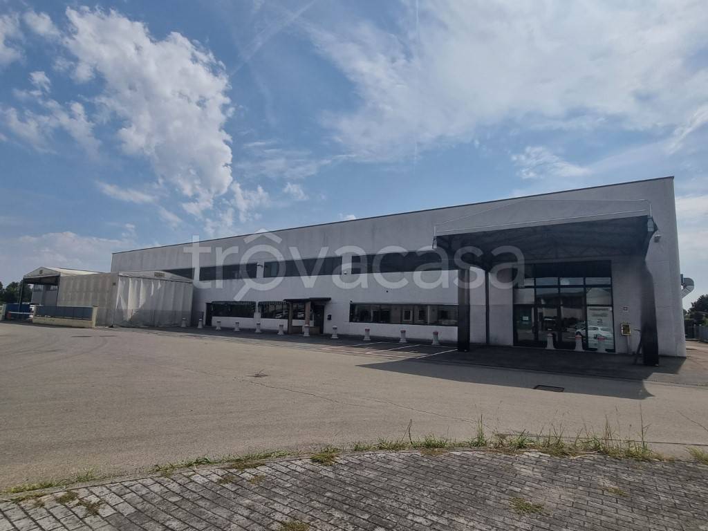 immagine annuncio 0 di 15