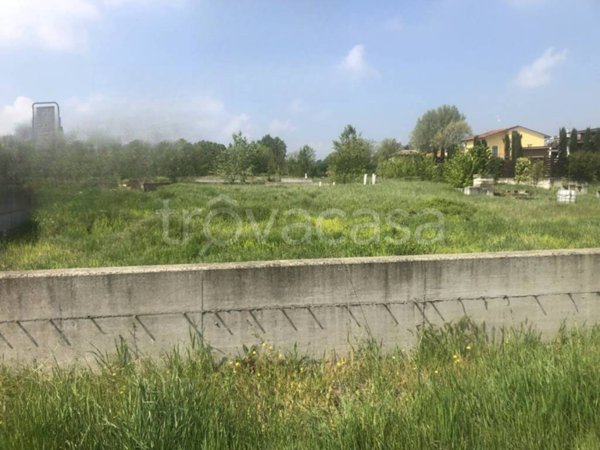 terreno agricolo in vendita a Fidenza