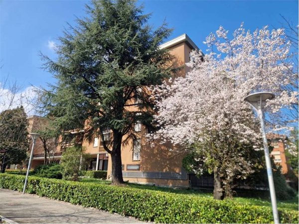 appartamento in vendita a Fidenza in zona Monfestone